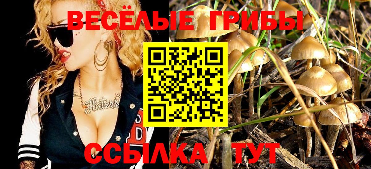 Псилоцибиновые грибы GOLDEN TEACHER Пенза