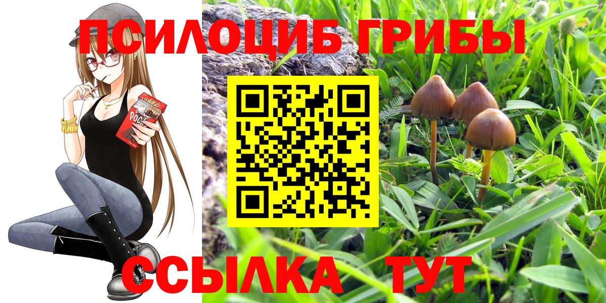 Пенза  Псилоцибиновые грибы прущие грибы  Галлюциногенные грибы мухоморы  Вход с VPN 